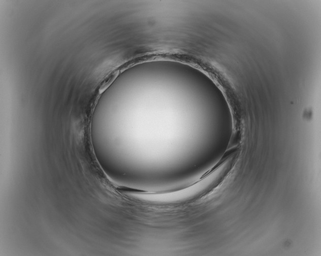 X0000091001257200708161930
