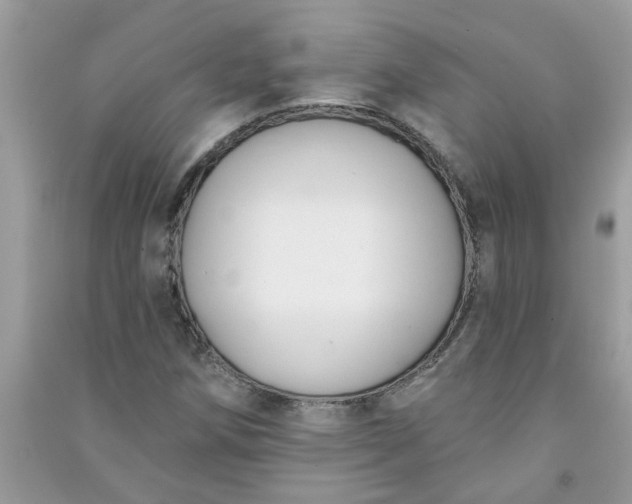 X0000091001258200708161930