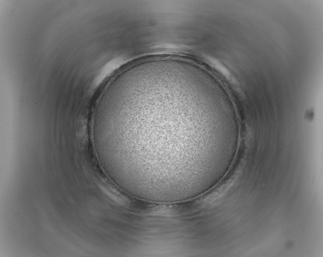 X0000091001259200708161930