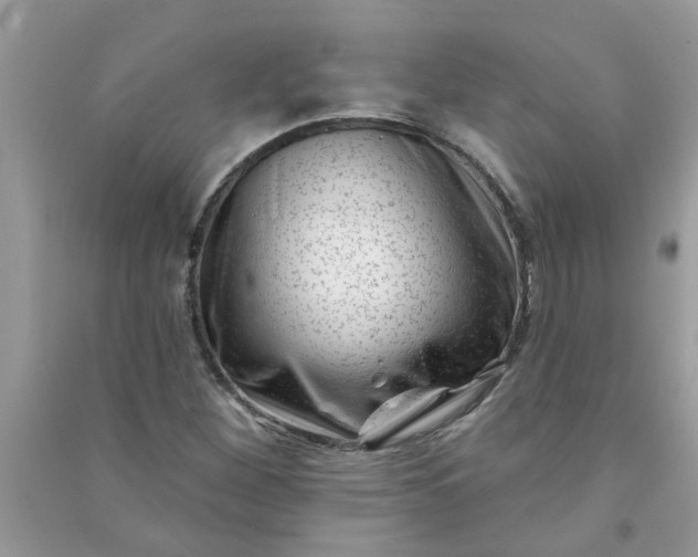 X0000091001260200708161930