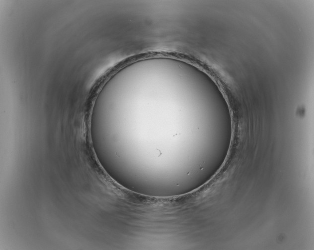 X0000091001262200708161930