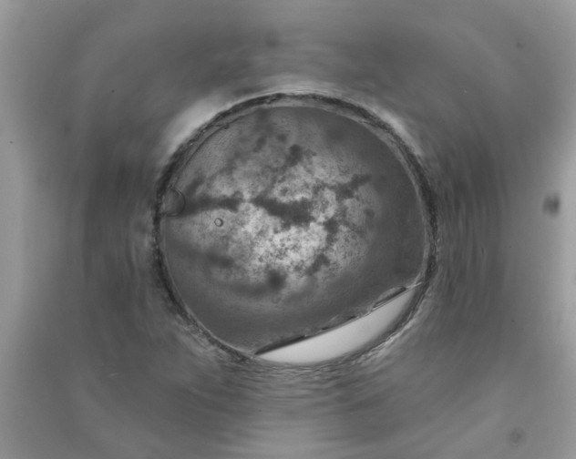 X0000091001263200708161930