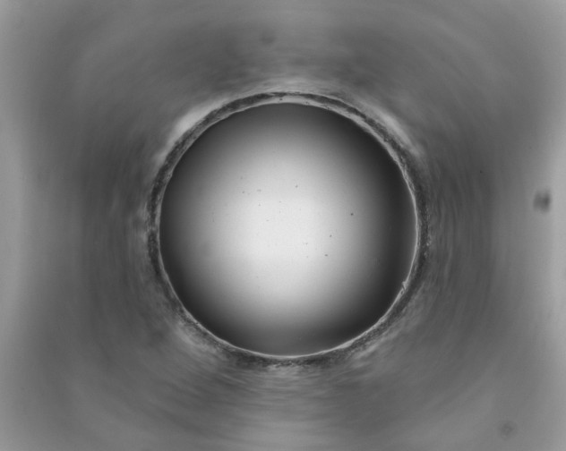 X0000091001264200708161930