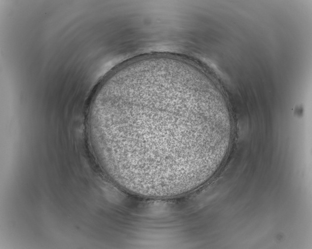 X0000091001266200708161930