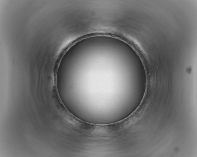 X0000091001267200708161930