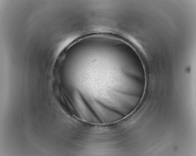 X0000091001269200708161930