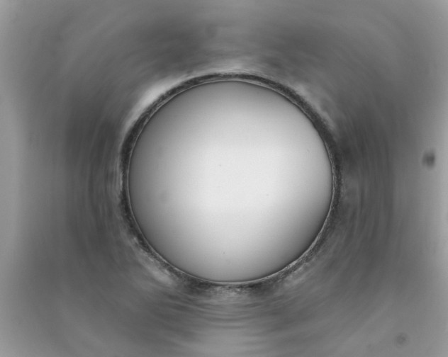 X0000091001270200708161930