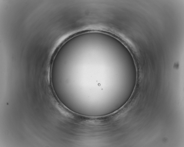 X0000091001272200708161930