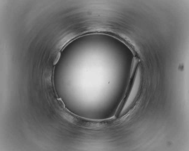 X0000091001273200708161930