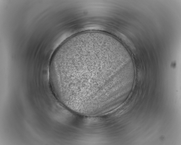 X0000091001274200708161930
