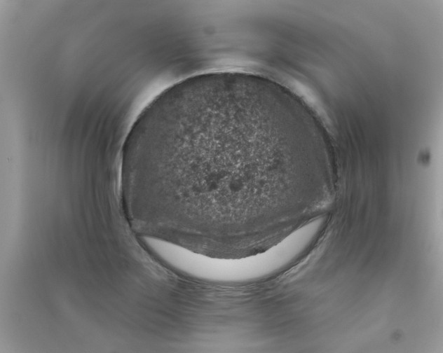 X0000091001275200708161930