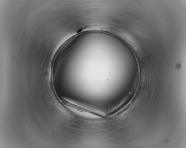 X0000091001276200708161930