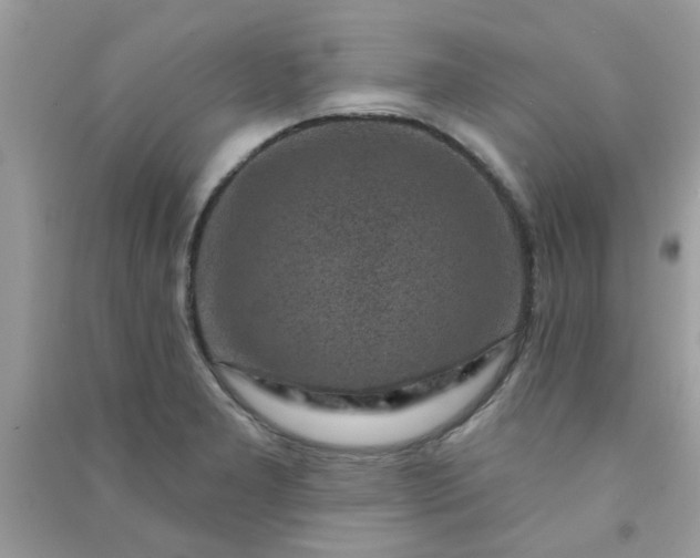 X0000091001277200708161930