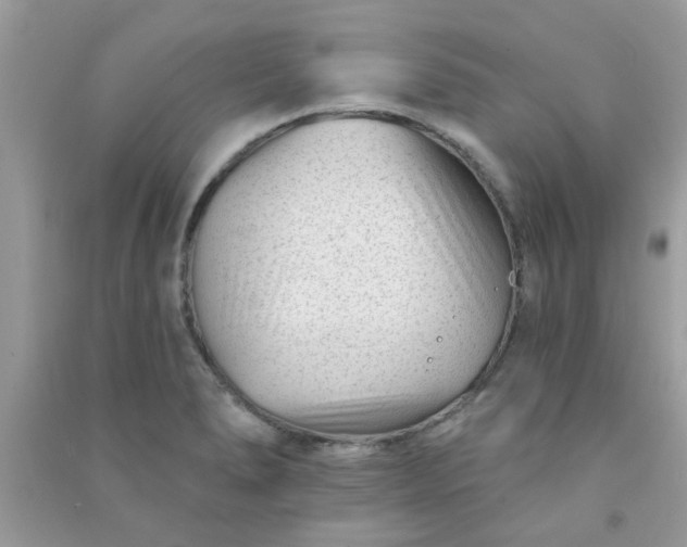 X0000091001278200708161930