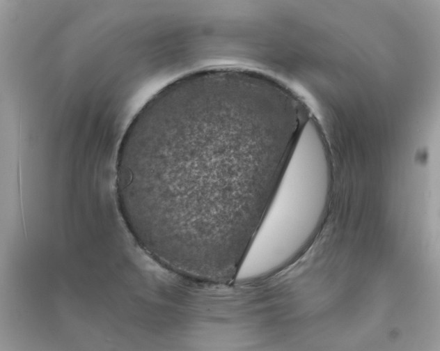 X0000091001279200708161930
