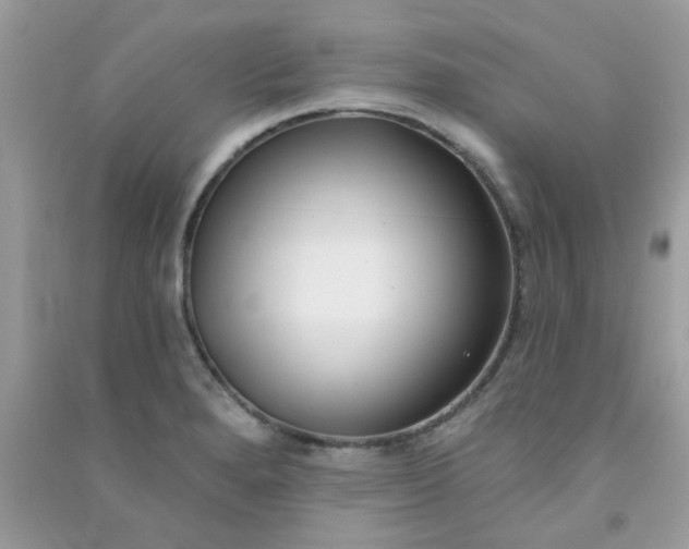 X0000091001280200708161930
