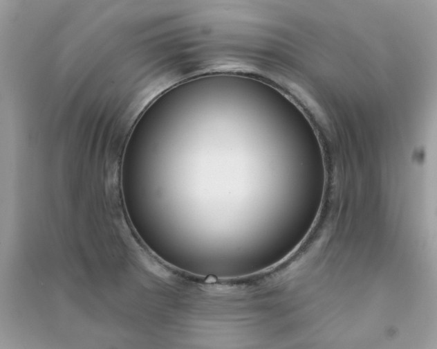 X0000091001281200708161930