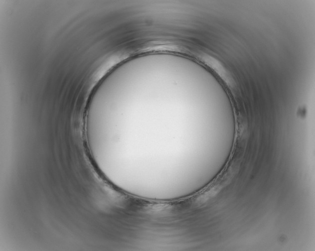 X0000091001282200708161930