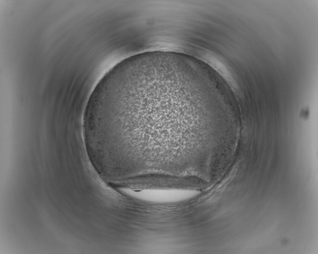 X0000091001283200708161930