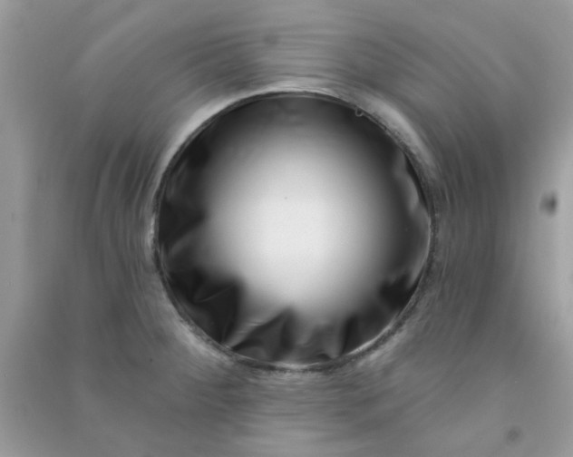 X0000091001284200708161930