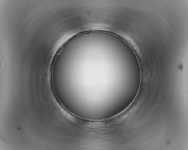 X0000091001285200708161930