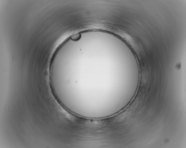 X0000091001286200708161930