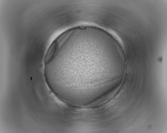 X0000091001287200708161930