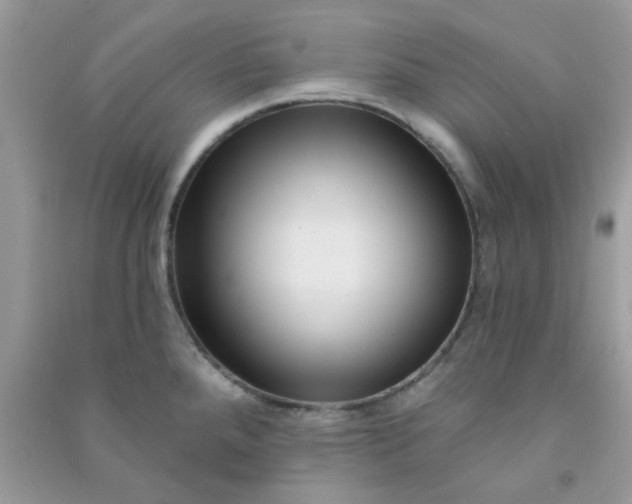 X0000091001288200708161930