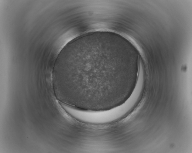 X0000091001289200708161930