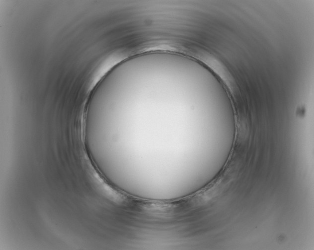X0000091001290200708161930