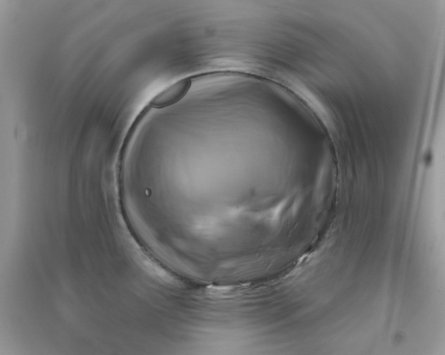 X0000091001291200708161930