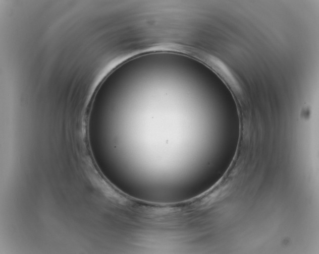 X0000091001292200708161930