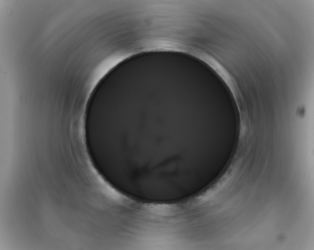 X0000091001293200708161930