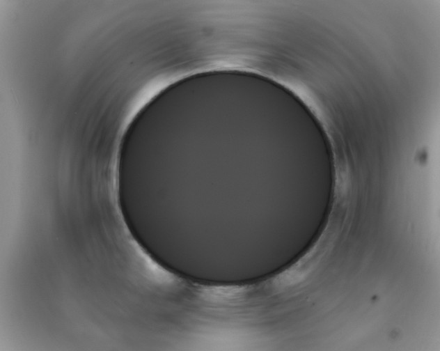 X0000091001294200708161930