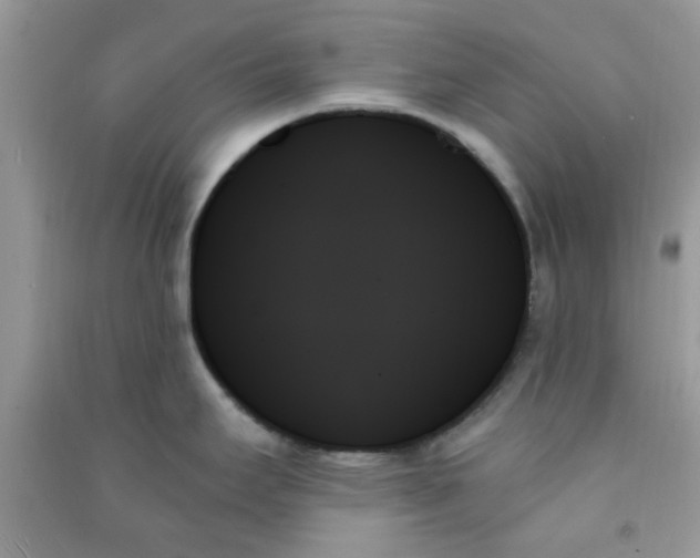 X0000091001295200708161930