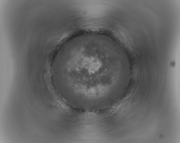 X0000091001297200708161929
