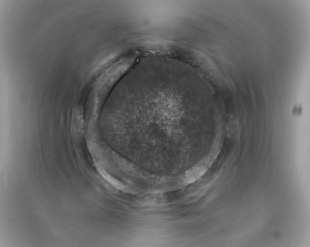 X0000091001298200708161929