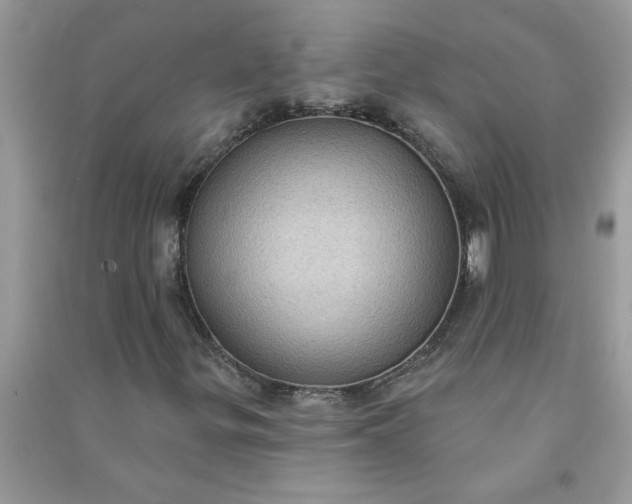 X0000091001299200708161929