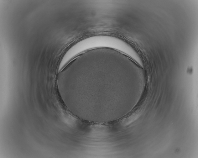 X0000091001300200708161929