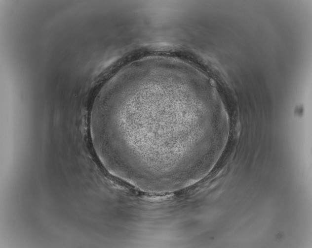 X0000091001301200708161929