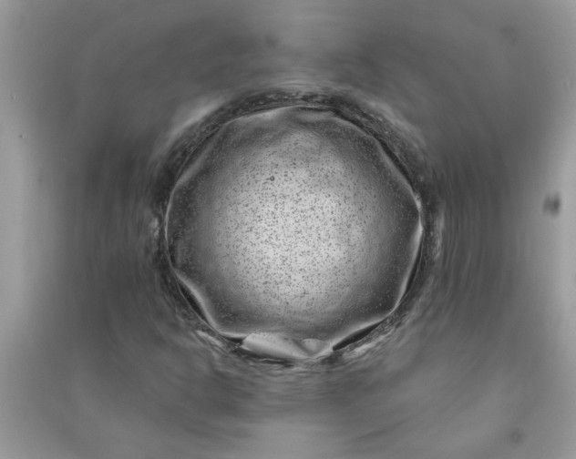 X0000091001302200708161929