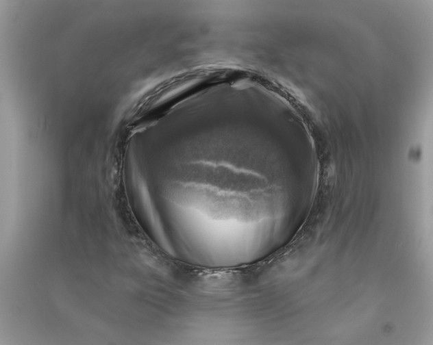 X0000091001303200708161929
