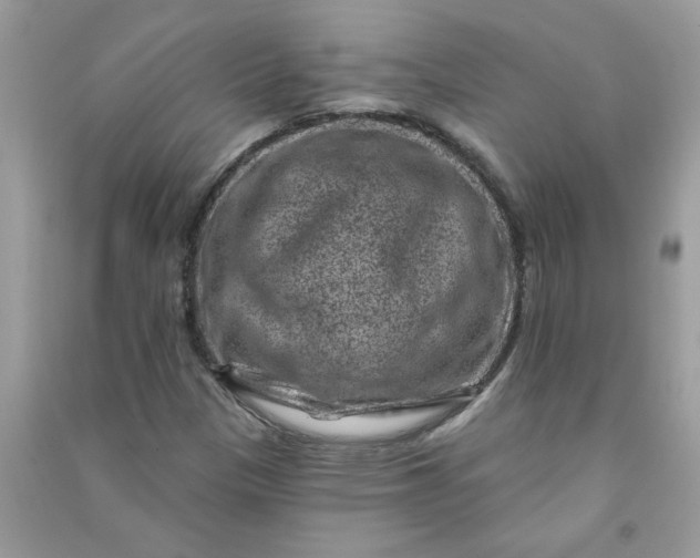 X0000091001305200708161930