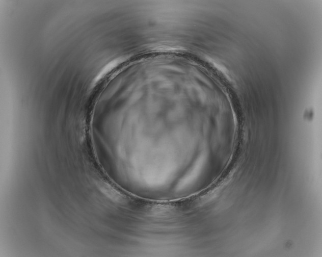 X0000091001306200708161930