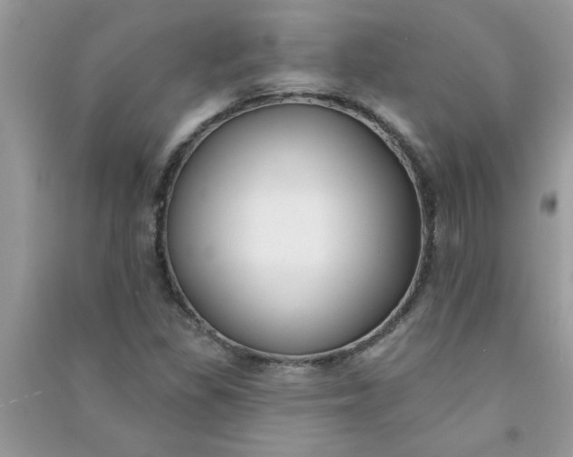 X0000091001309200708161930