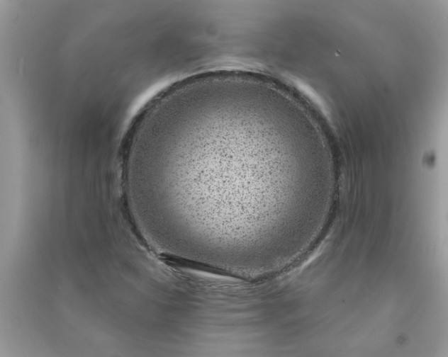 X0000091001310200708161930