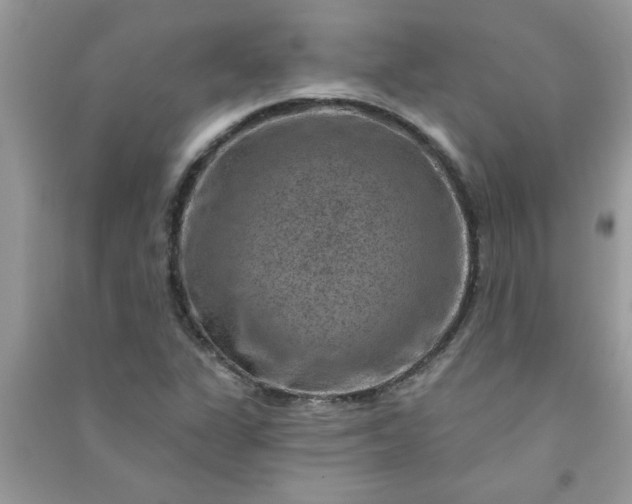 X0000091001311200708161930