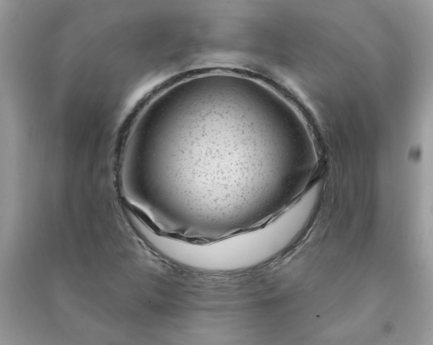 X0000091001312200708161930