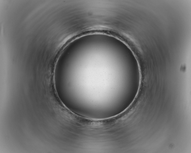 X0000091001313200708161930