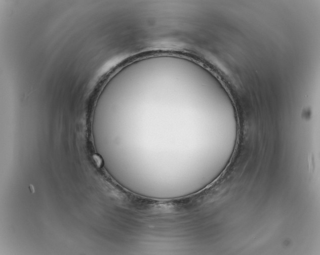 X0000091001315200708161930
